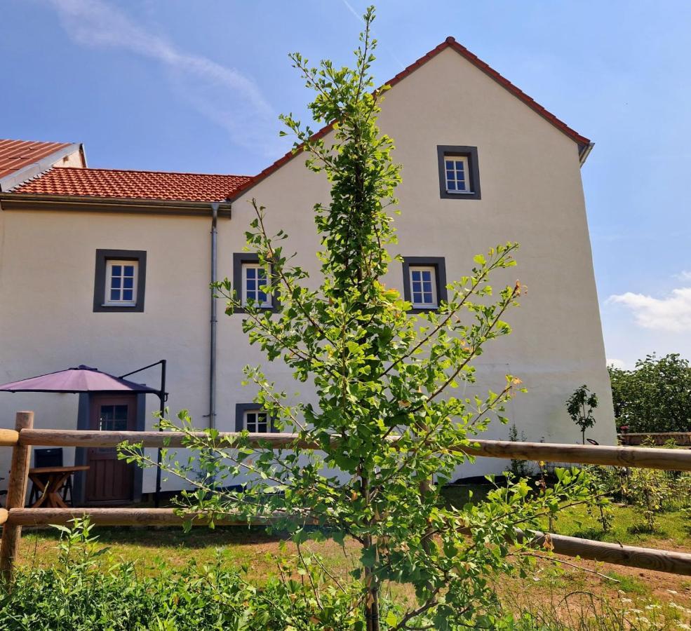 Ferienhaus "Entenhaus" Im Gutshaus De La Fontaine Feilsdorf Экстерьер фото